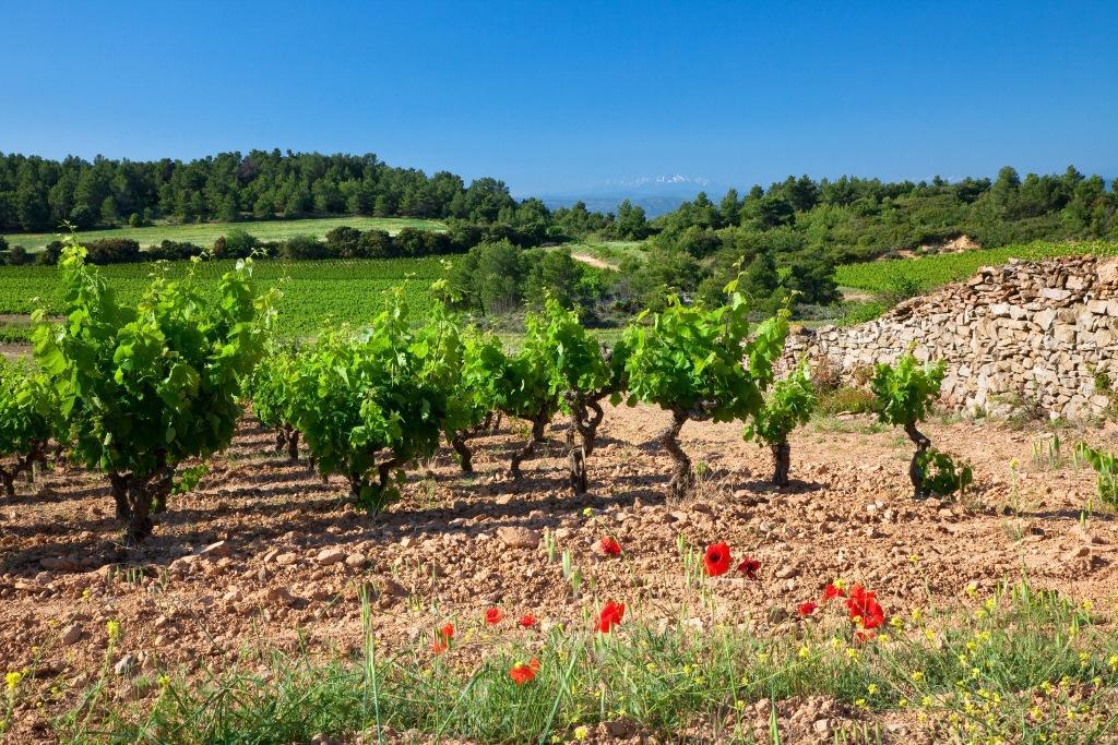 Logis Hotel - Restaurant La Marbrerie Caunes-Minervois Dış mekan fotoğraf